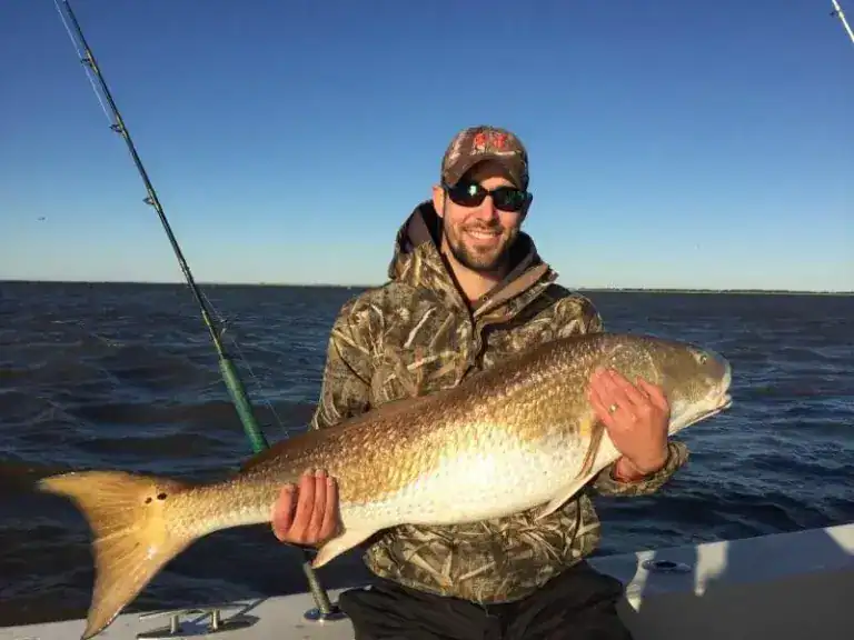Fish-Ocracoke-3-1.webp