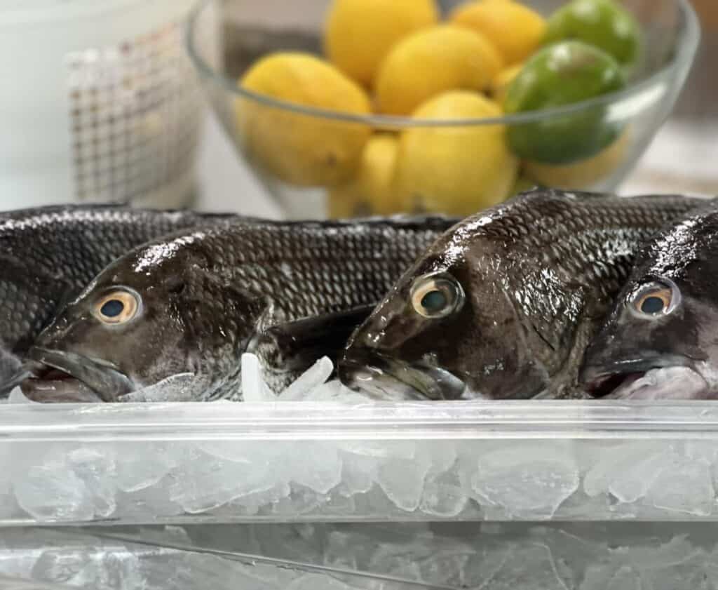 Fresh fish on ice with lemons and limes
