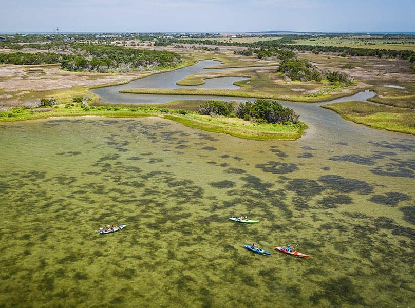 Kayakers explore scenic marshland waterways.